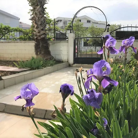 Apartment Enjoy A Peaceful Central Location Close To Everything, Truly From *