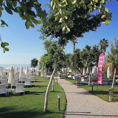 Enjoy A Peaceful Central Location Close To Everything, Truly From Apartment *